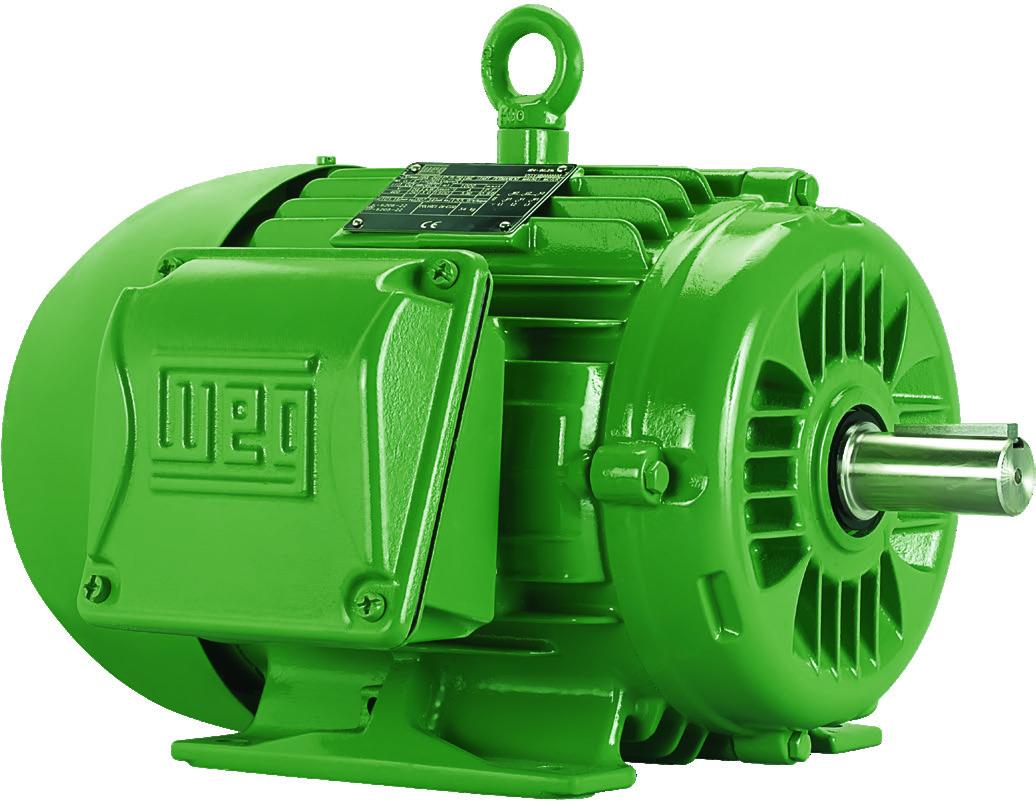 Motor trifásico W22